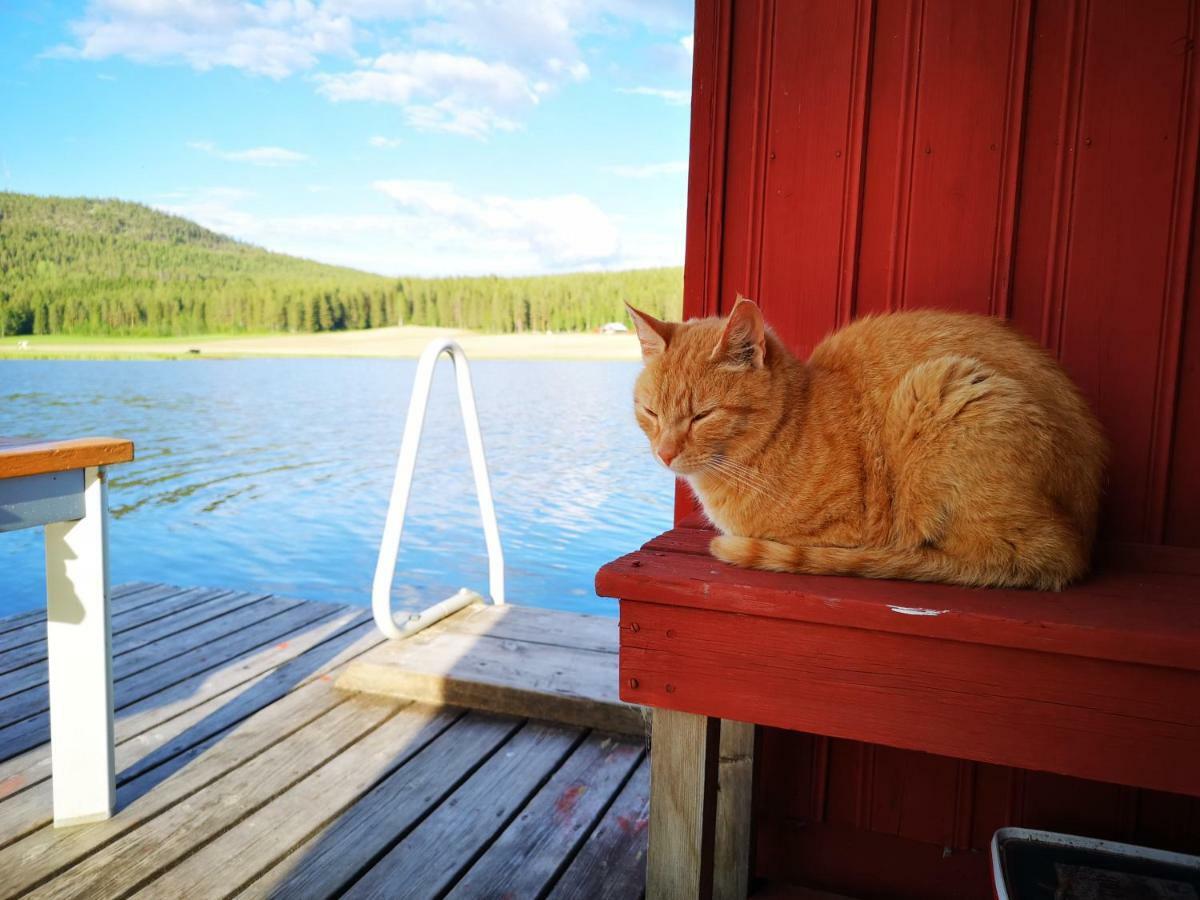 Villa Skatauddens Lantgard à Älvsbyn Extérieur photo